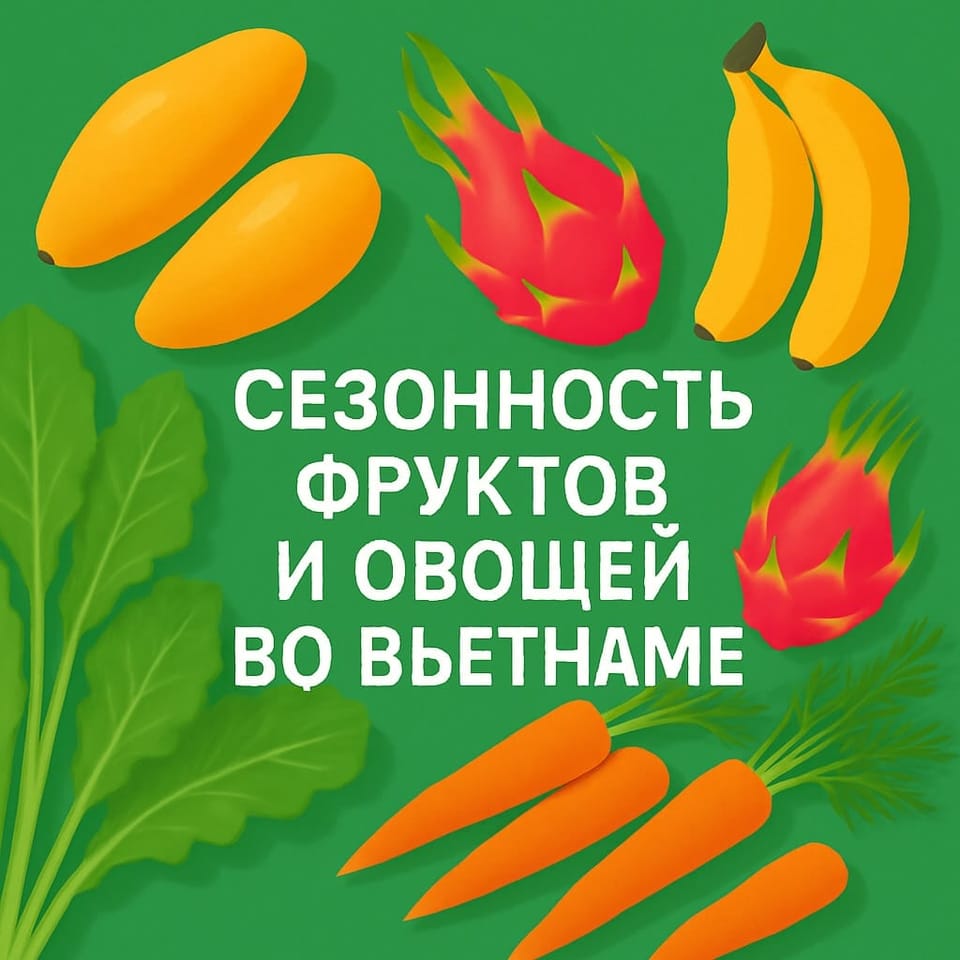 Сезонность фруктов и овощей во Вьетнаме: календарь покупок на весь год