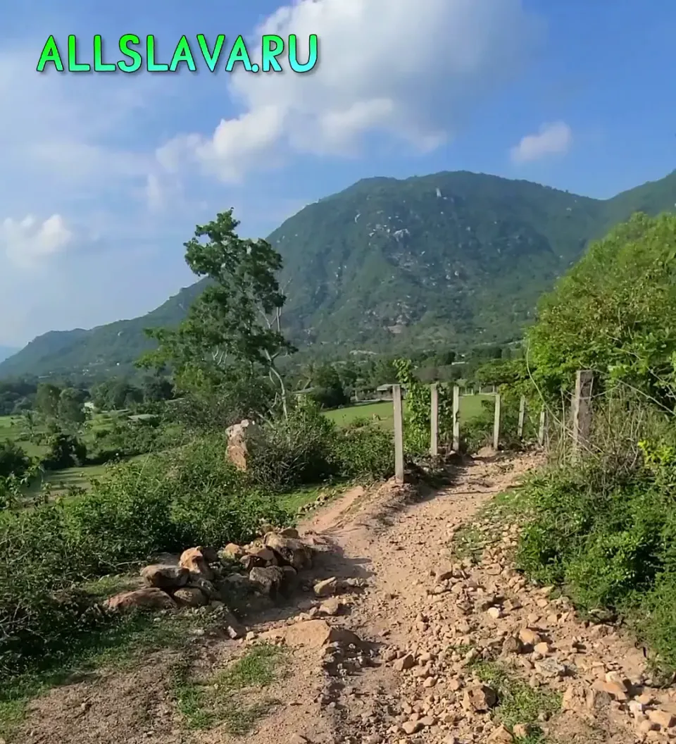 Вьетнамские ебеня